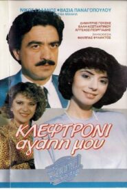 Κλεφτρόνι αγάπη μου 1987 one on netflix