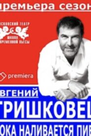 Evgeniy Grishkovets: While the Beer is Being Poured 2016 one on netflix