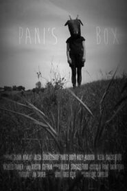 Pani’s Box 2013 one on netflix