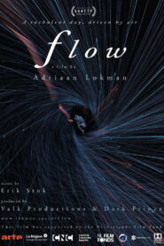 Flow 2019 one on netflix