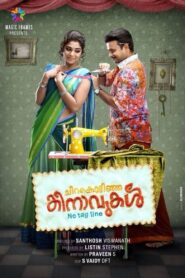 Chirakodinja Kinavukal 2015 one on netflix