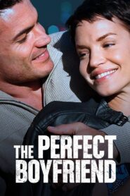 The Perfect Boyfriend 2013 one on netflix