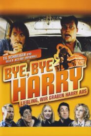 Bye, Bye Harry 2006 one on netflix