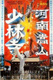 Shaolin Temple Strikes Back 1981 one on netflix