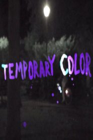 Temporary Color 2016 one on netflix