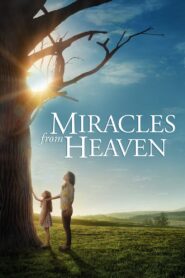 Miracles from Heaven 2016 one on netflix