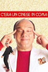 C’era un cinese in coma 2000 one on netflix