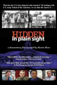 Hidden in Plain Sight 2003 one on netflix