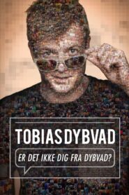 Tobias Dybvad: Er det ikke dig fra Dybvad? 2015 one on netflix