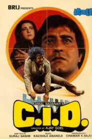 C.I.D. 1990 one on netflix