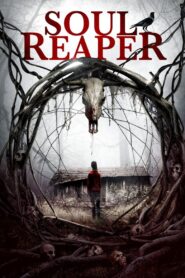 Soul Reaper 2019 one on netflix