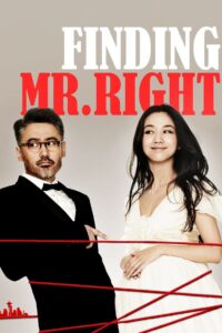 Finding Mr. Right 2013 one on netflix