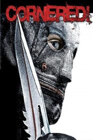 Cornered! 2009 one on netflix