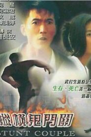 Stunt Couple 2002 one on netflix