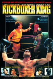 Kickboxer King 1991 one on netflix