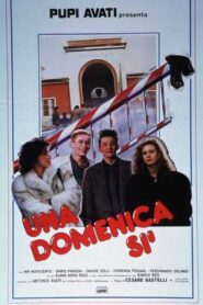 Una domenica sì 1986 one on netflix