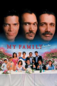 My Family 1995 one on netflix
