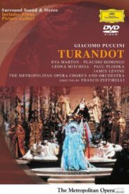 Turandot 1987 one on netflix