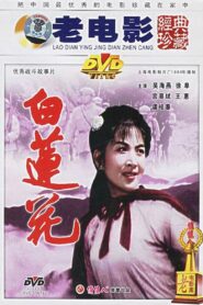 白莲花 1980 one on netflix