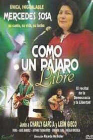 Mercedes Sosa: como un pájaro libre 1983 one on netflix