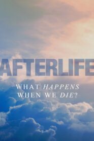 Afterlife 2011 one on netflix