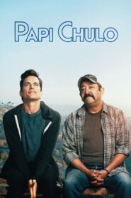 Papi Chulo 2019 one on netflix