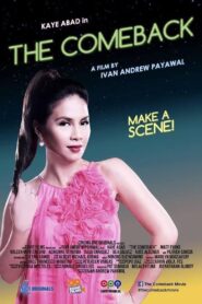 The Comeback 2015 one on netflix