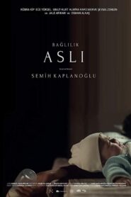 Commitment Aslı 2019 one on netflix
