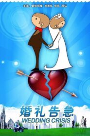 婚礼告急 2011 one on netflix