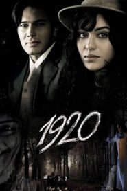 1920 2008 one on netflix