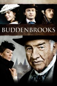 Buddenbrooks 2008 one on netflix