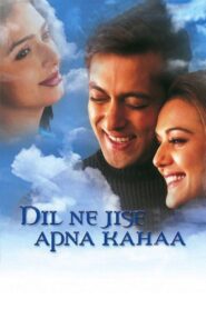 Dil Ne Jise Apna Kahaa 2004 one on netflix