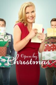 Open by Christmas 2021 one on netflix