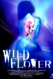 Wildflower 2000 one on netflix