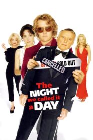 The Night We Called It a Day 2003 one on netflix