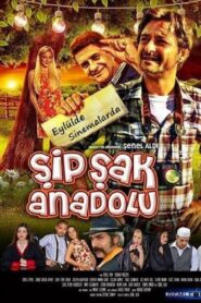 Şipşak Anadolu 2014 one on netflix