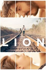 Lion 2016 one on netflix