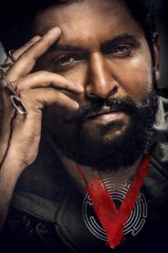 V 2020 one on netflix