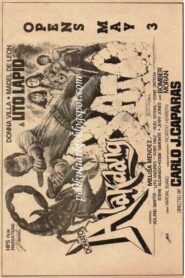 Alakdang Bato 1984 one on netflix