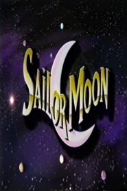 Sailor Moon 1994 one on netflix
