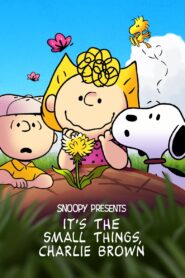 Snoopy Presents: It’s the Small Things, Charlie Brown 2022 one on netflix