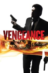 Vengeance 2009 one on netflix