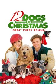 12 Dogs of Christmas: Great Puppy Rescue 2012 one on netflix