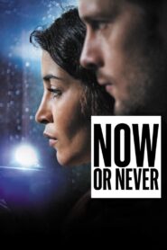 Now or Never 2014 one on netflix
