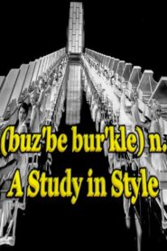 (buz’be bur’kle) n. A Study in Style 2006 one on netflix