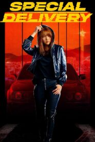 Special Delivery 2022 one on netflix