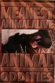 Time Life Animal Oddities: The Meanest Animal Alive 1995 one on netflix