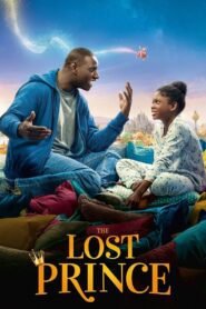 The Lost Prince 2020 one on netflix