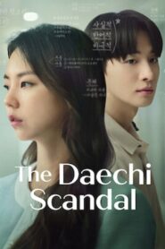 The Daechi Scandal 2024 one on netflix