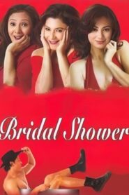 Bridal Shower 2004 one on netflix